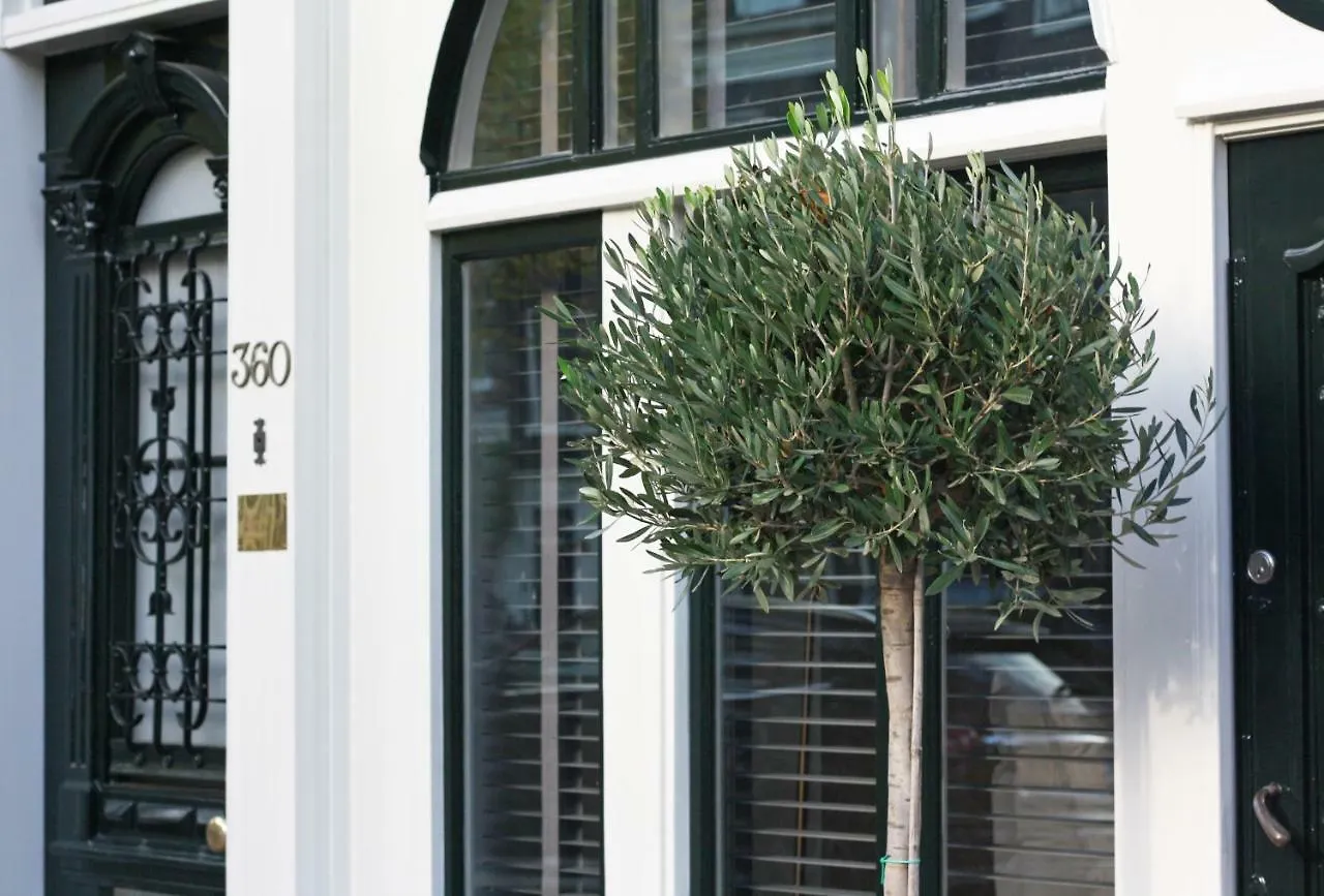 Villa360 أمستردام هولندا